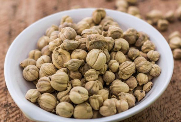 Indonesian Carddamom