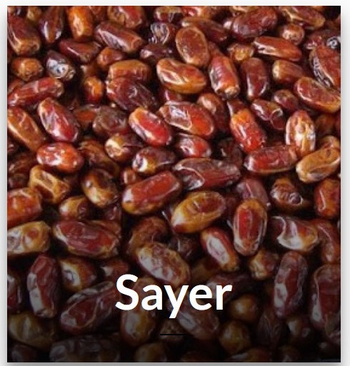 Sayer