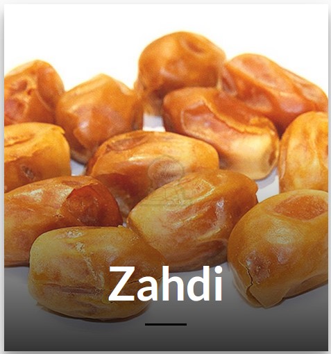 Zahdi